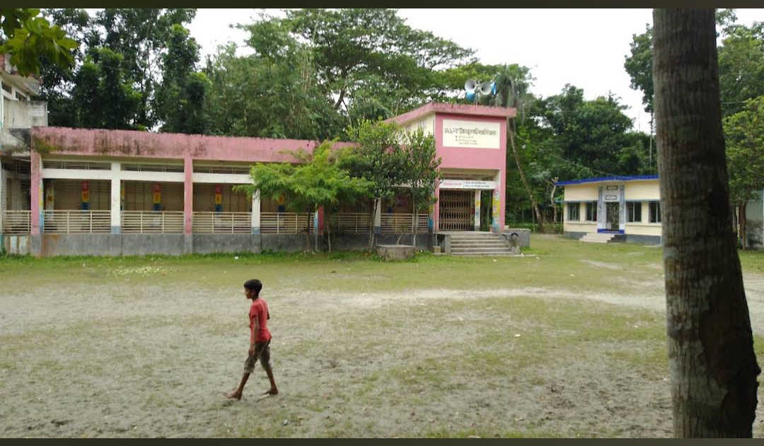 নলছিটিতে প্রধান শিক্ষকের বিরুদ্ধে ভুয়া দাতা সদস্য বানিয়ে কমিটি গঠনের অভিযোগ, তদন্ত কাল